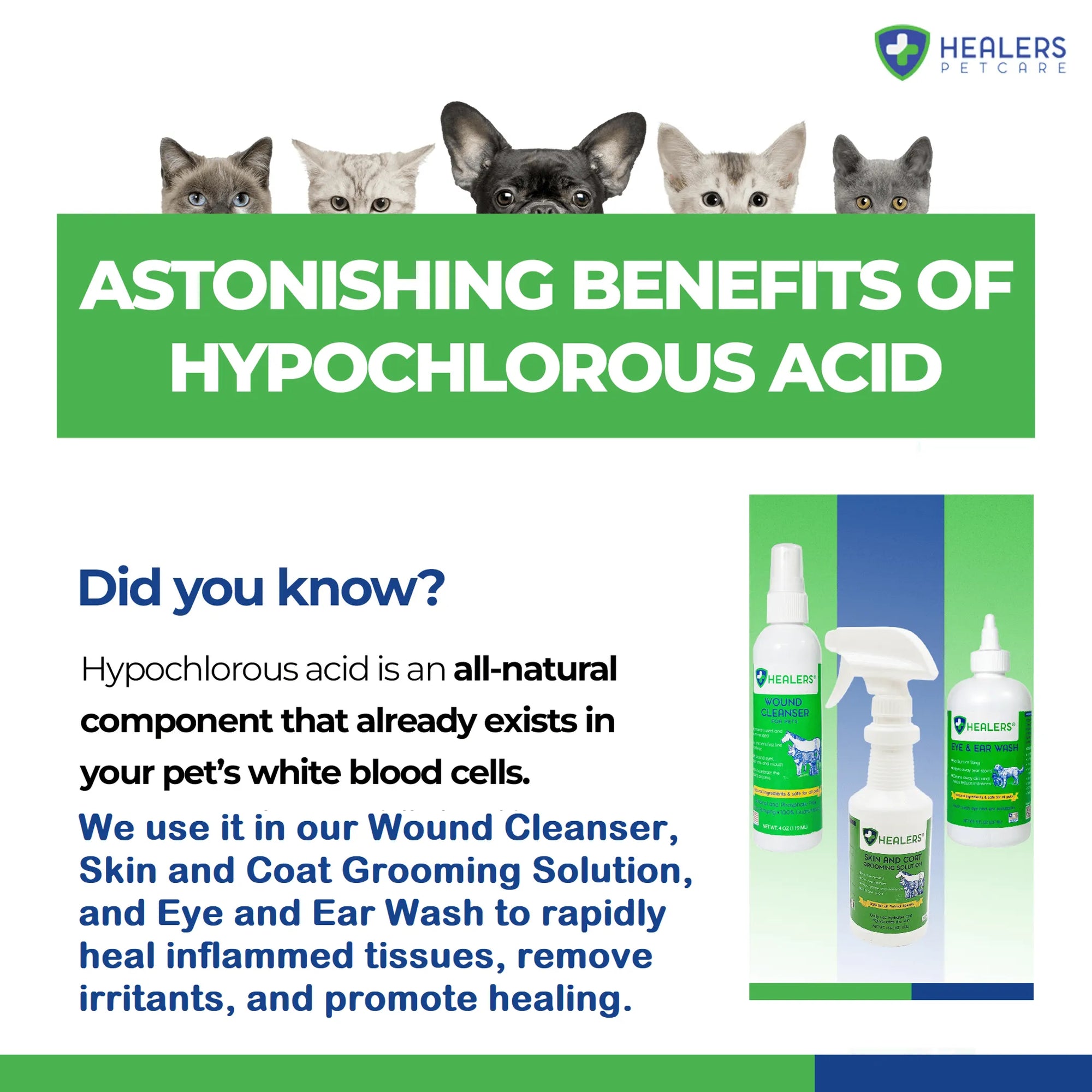 4APAWS™Healers Skin & Coat Grooming Solution