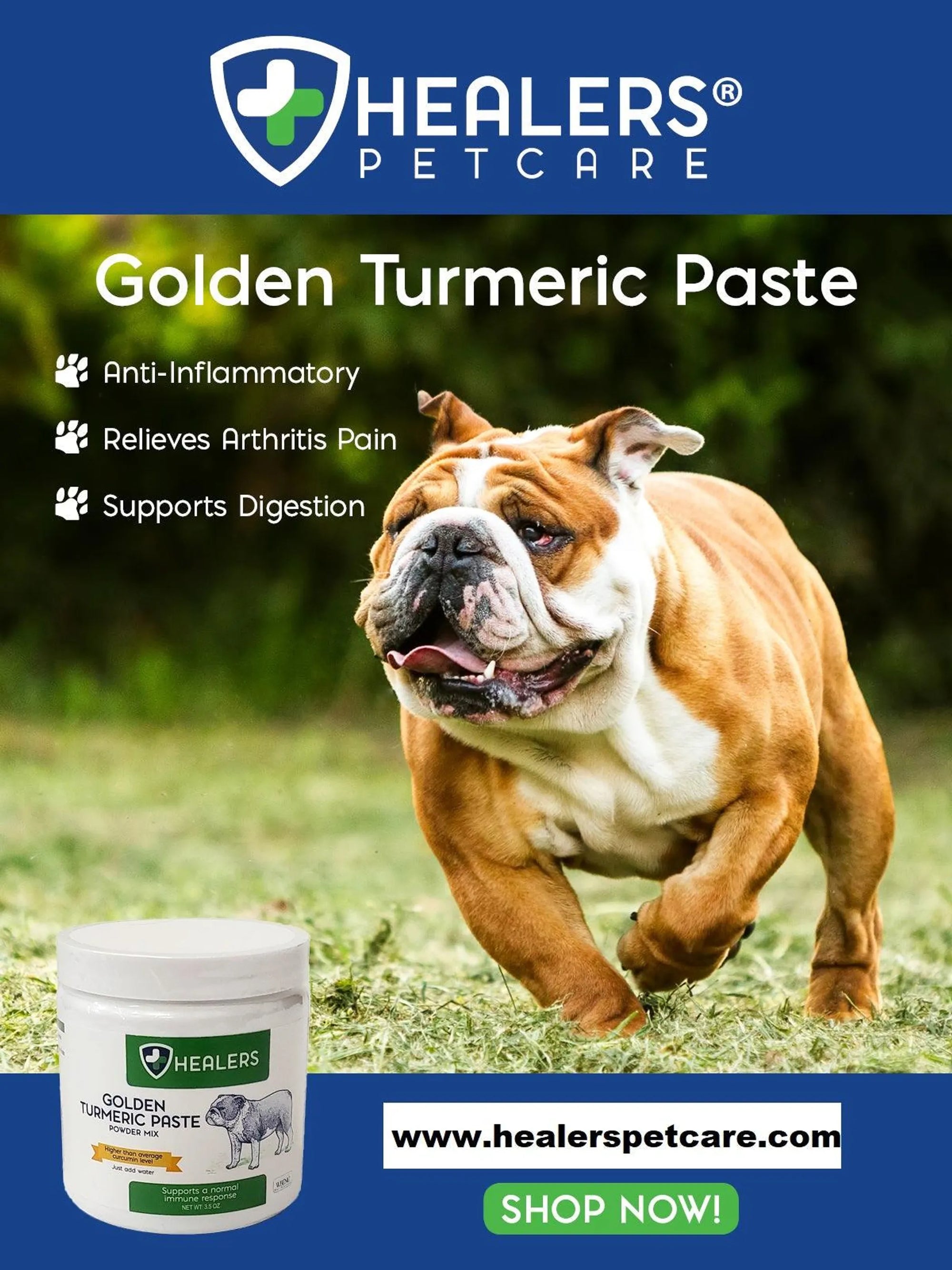 4APAWS™Healers Golden Turmeric Paste for Dogs
