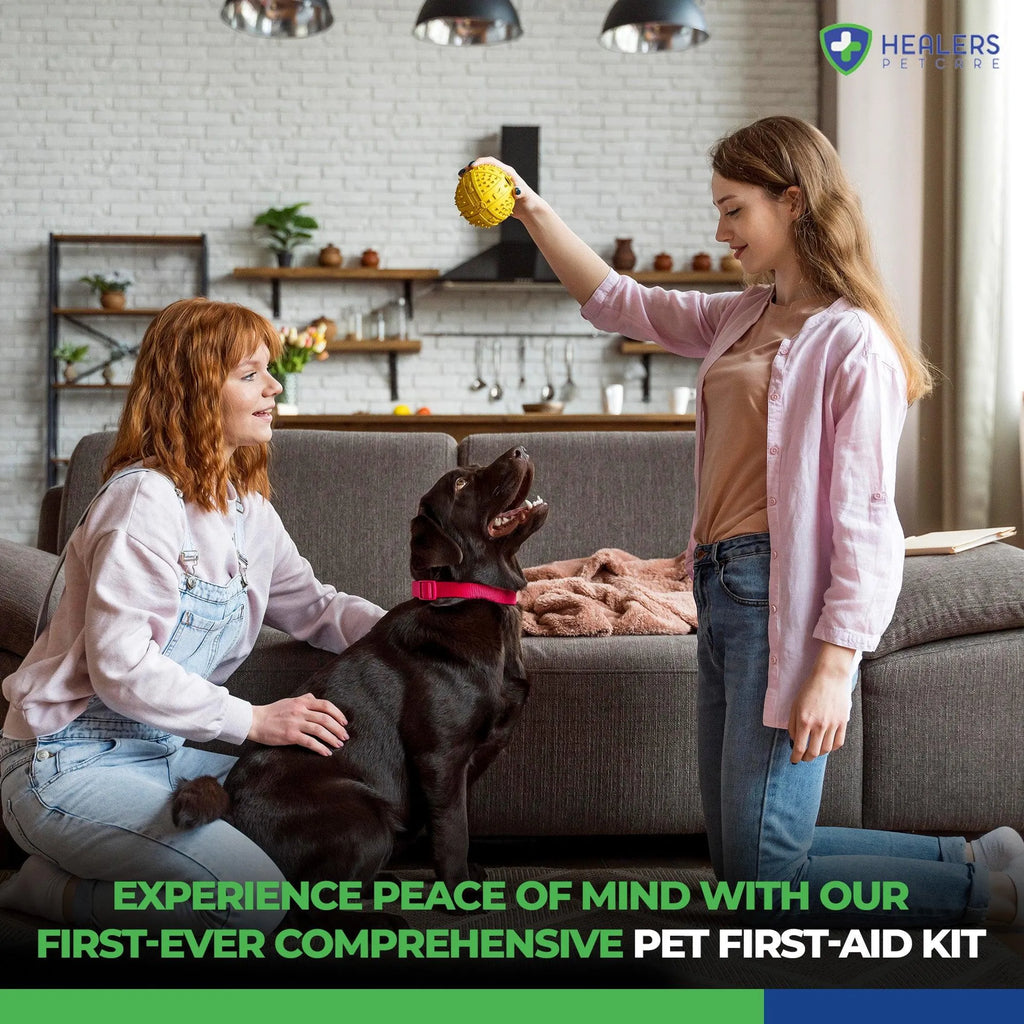 4APAWS™Healers Comprehensive First Aid Kit
