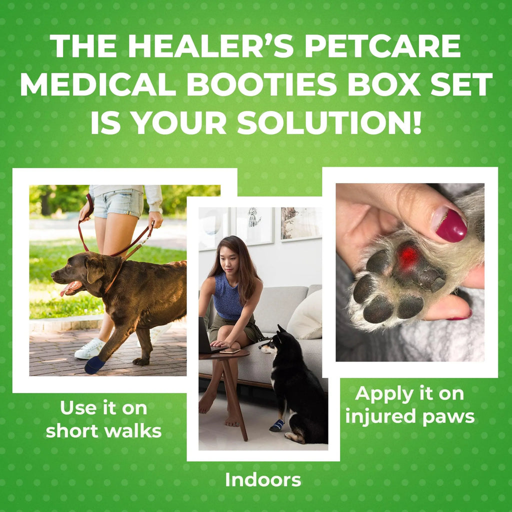 4APAWS™Healers Comprehensive First Aid Kit